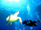 ���ᤵ��̤���Ǥ�