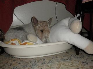 P2020147-1.jpg
