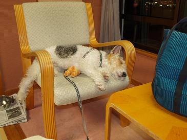 P1040214-1.jpg