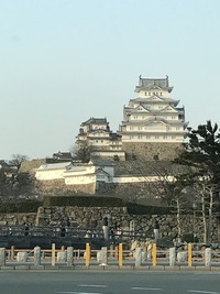 IMG_0936