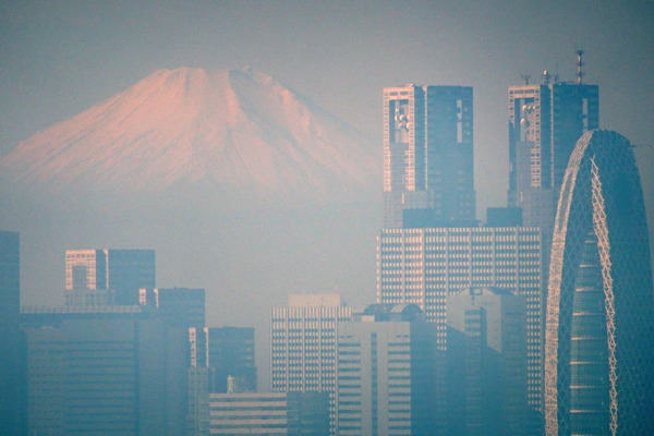 富士山 新宿都庁