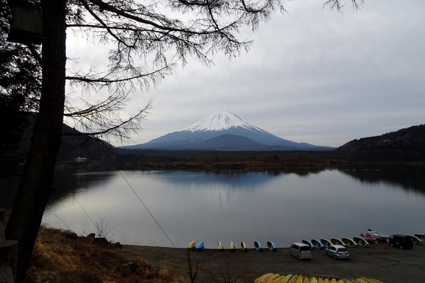 富士山 精進湖