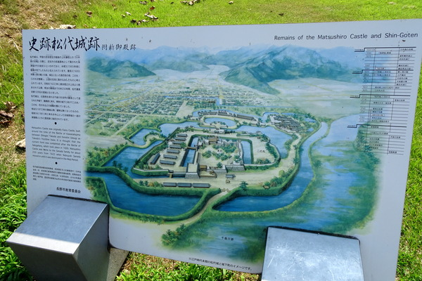 DSC02950