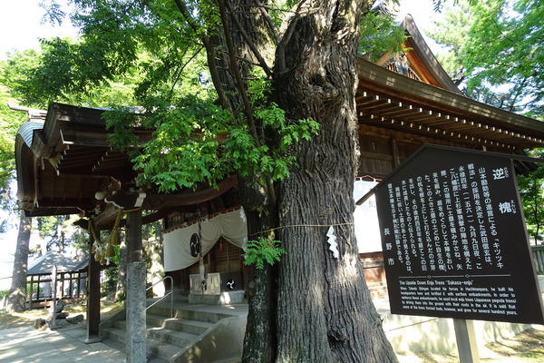 八幡社