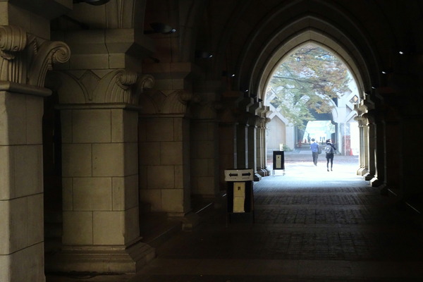 東京大学