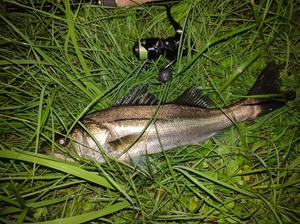 IMG_20160921_003029