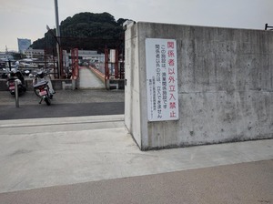 CvF9FyuUsAAwaVS
