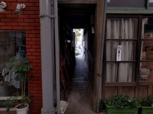 CrWKI5-UMAASawA