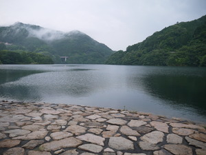 P1100195