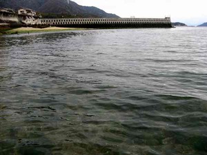 seabass0121_2