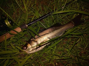 IMG_20160921_004055