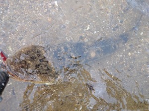 IMG_20160921_071931