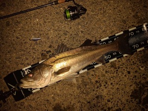 IMG_20161125_024609