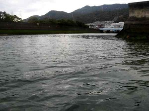 seabass0121_1