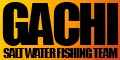 gachiBanner120-60