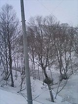 c85461b0.jpg