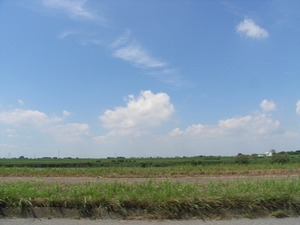 R1043532