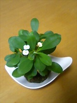 46c541f2.jpg