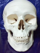 9053d1a2.jpg