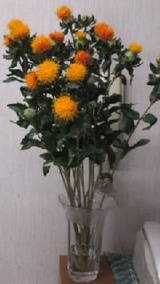 c44885ac.jpg