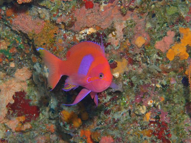 1b684537.jpg