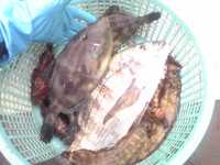 a03788f4.jpg
