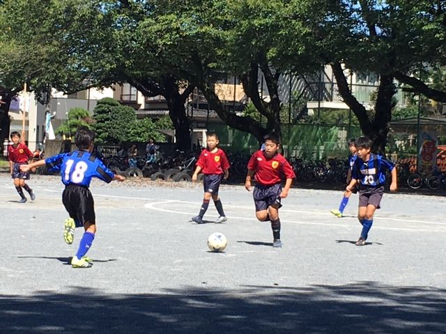 8eca4cdc