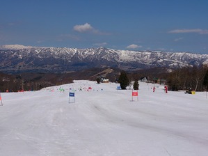 b7f12e95.jpg