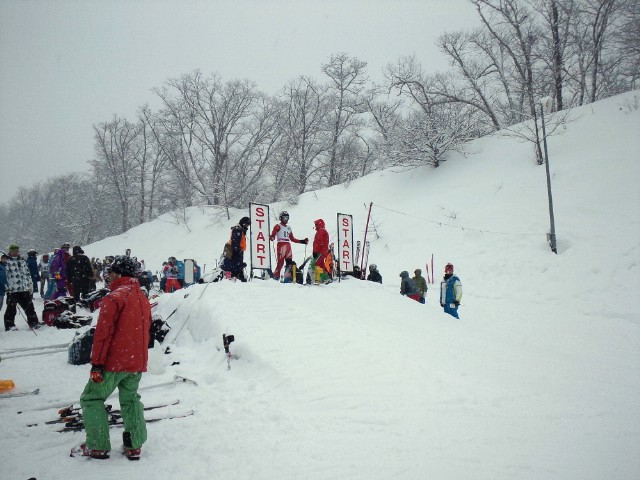 c5351081.jpg