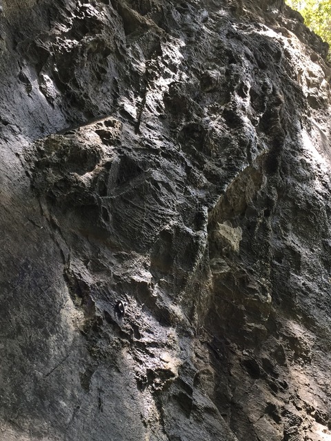 2017-10-08-10-51-07
