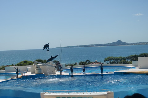 CIMG0706