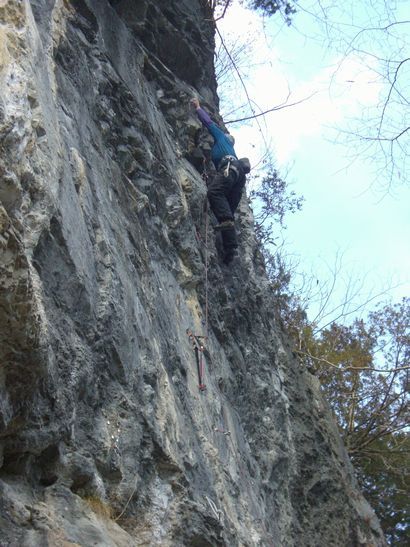 CIMG3244
