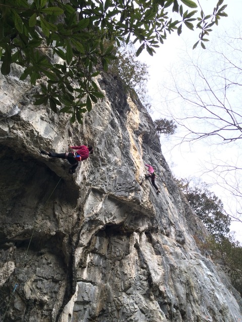 2015-02-15-12-19-46