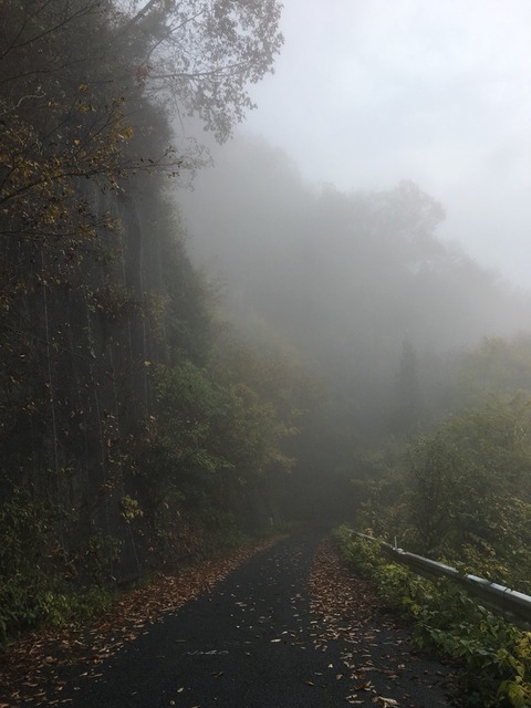 2016-11-20-10-08-32