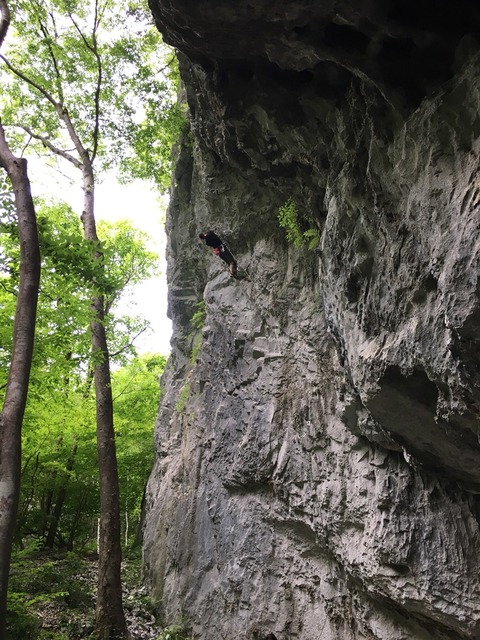 2017-06-10-16-43-21