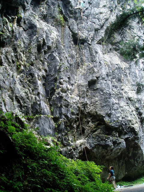 P1010005