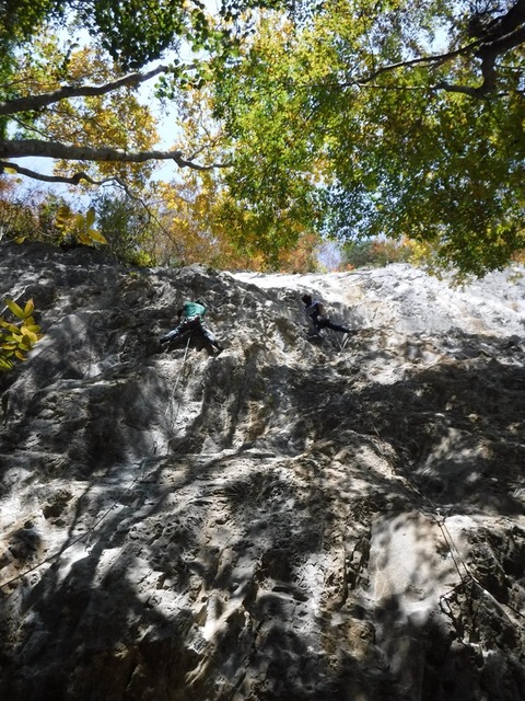 2016-11-05-11-03-45