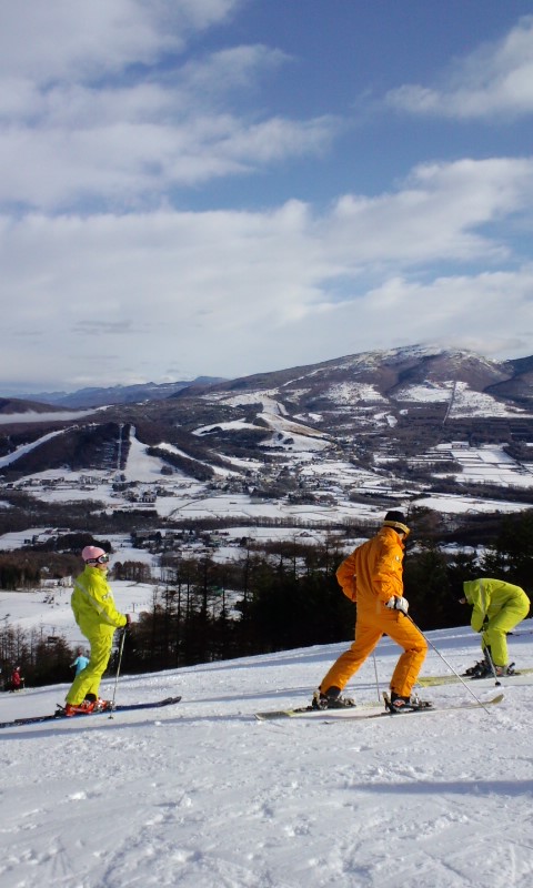091212_pinebeak