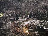 yasukuni_3