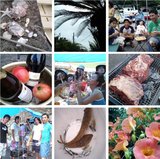 izu07photo