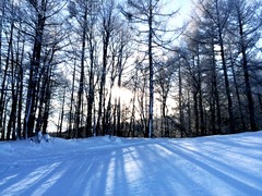 IMG_0302