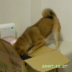 2007/12/27_2