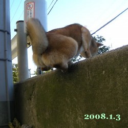 2008/1/3_1