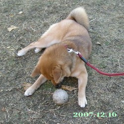 2007/12/17_1