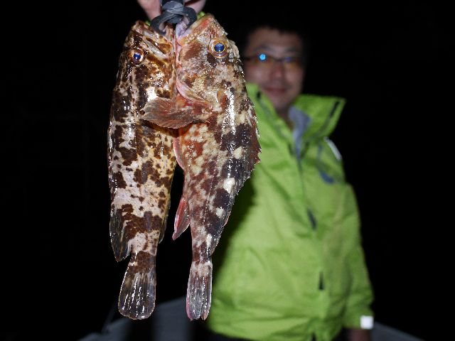 名古屋港 根魚