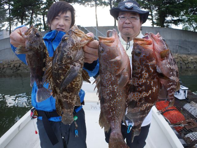 名古屋港 キジハタ ベッコウゾイ