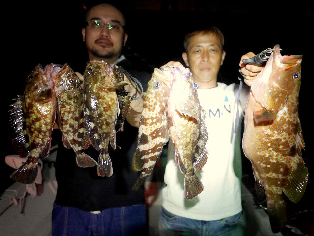 名古屋港 キジハタ&根魚