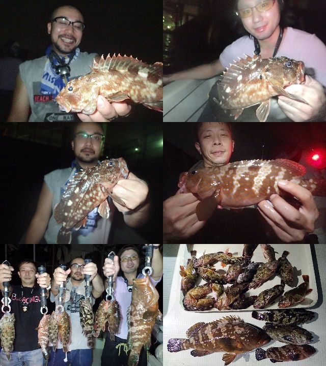 キジハタ&根魚 釣果写真