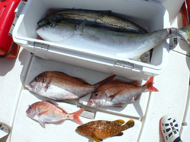 釣果写真