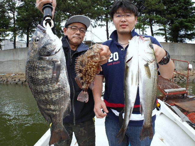 名古屋港 根魚 クロダイ シーバス